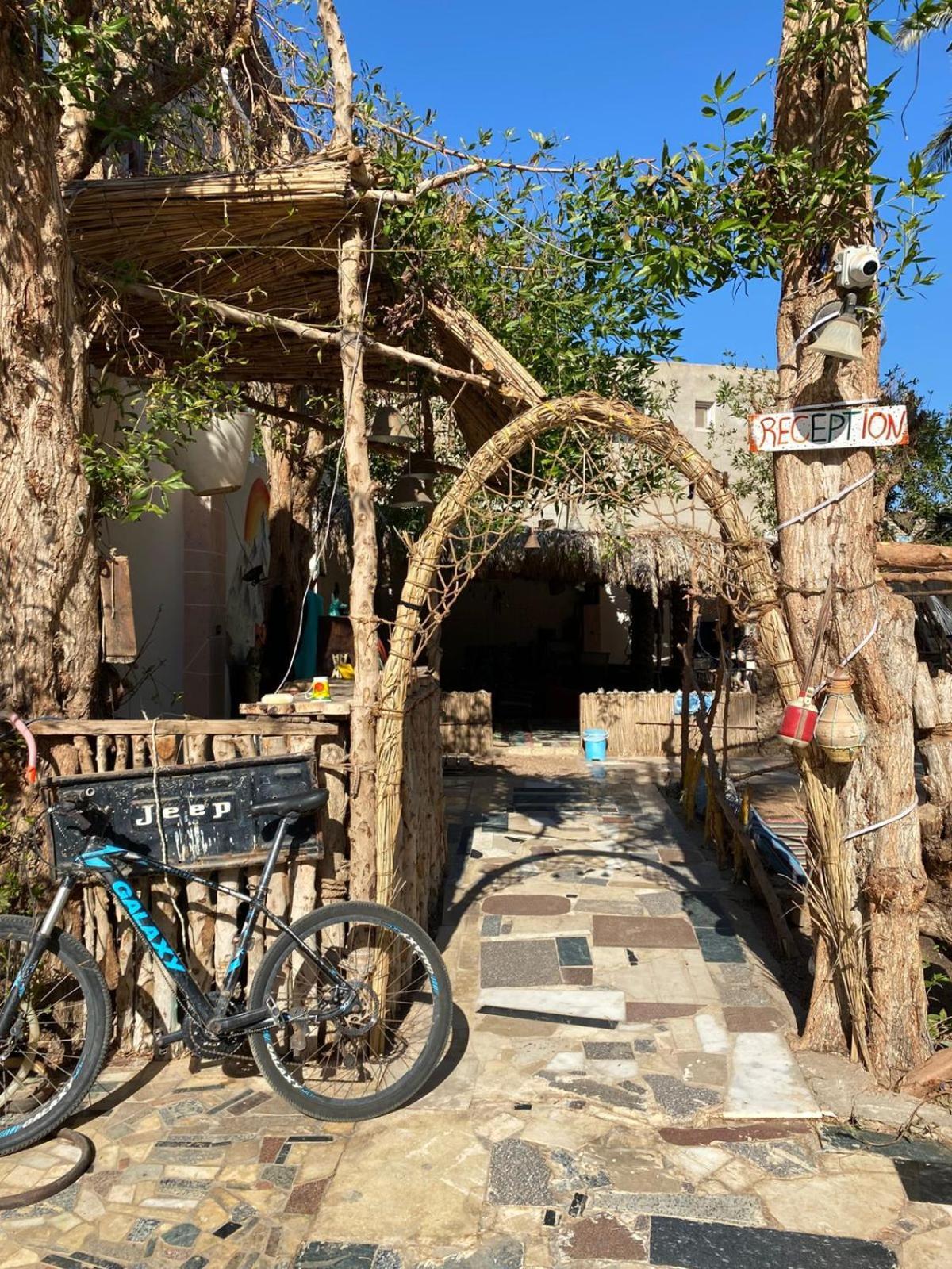 Sunrise Dahab Lodge ภายนอก รูปภาพ